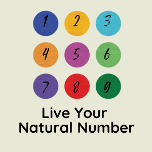Live-Your-Natural-Number-Mini-course-focused-entirely-on-your-Number-course-product